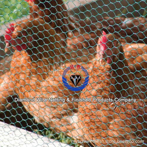 Hot Sales of Welded Galvanized Factory Price Lowes Chicken Wire Mesh Roll